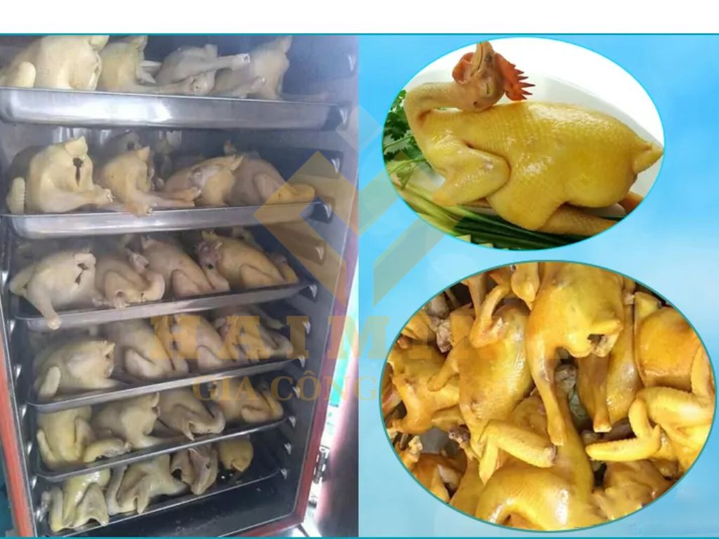 Lựa chọn tủ hấp cơm dựa trên không gian và điều kiện sử dụng Lựa chọn tủ hấp cơm dựa trên không gian và điều kiện sử dụng