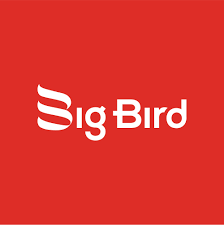 Big Bird
