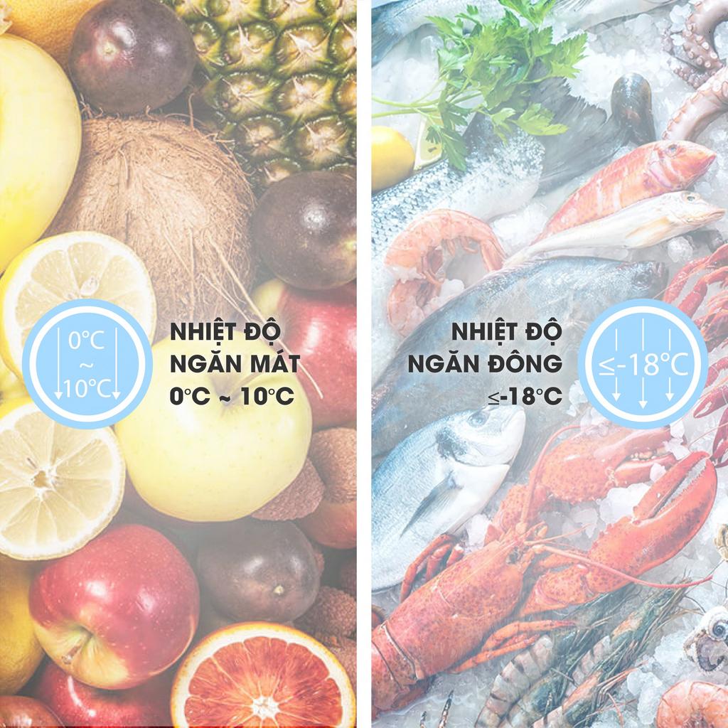 Dung tích lớn phù hợp kinh doanh và gia đình