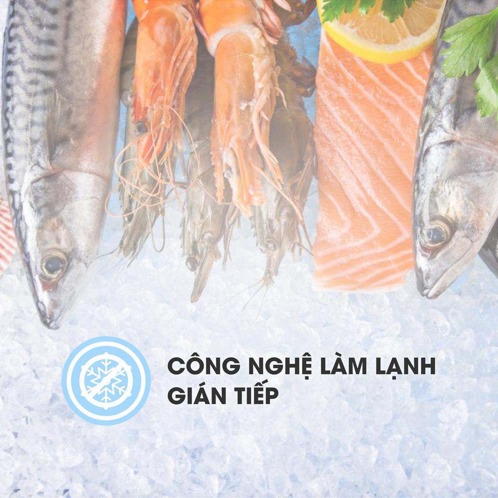 Dung tích lớn 590 lít