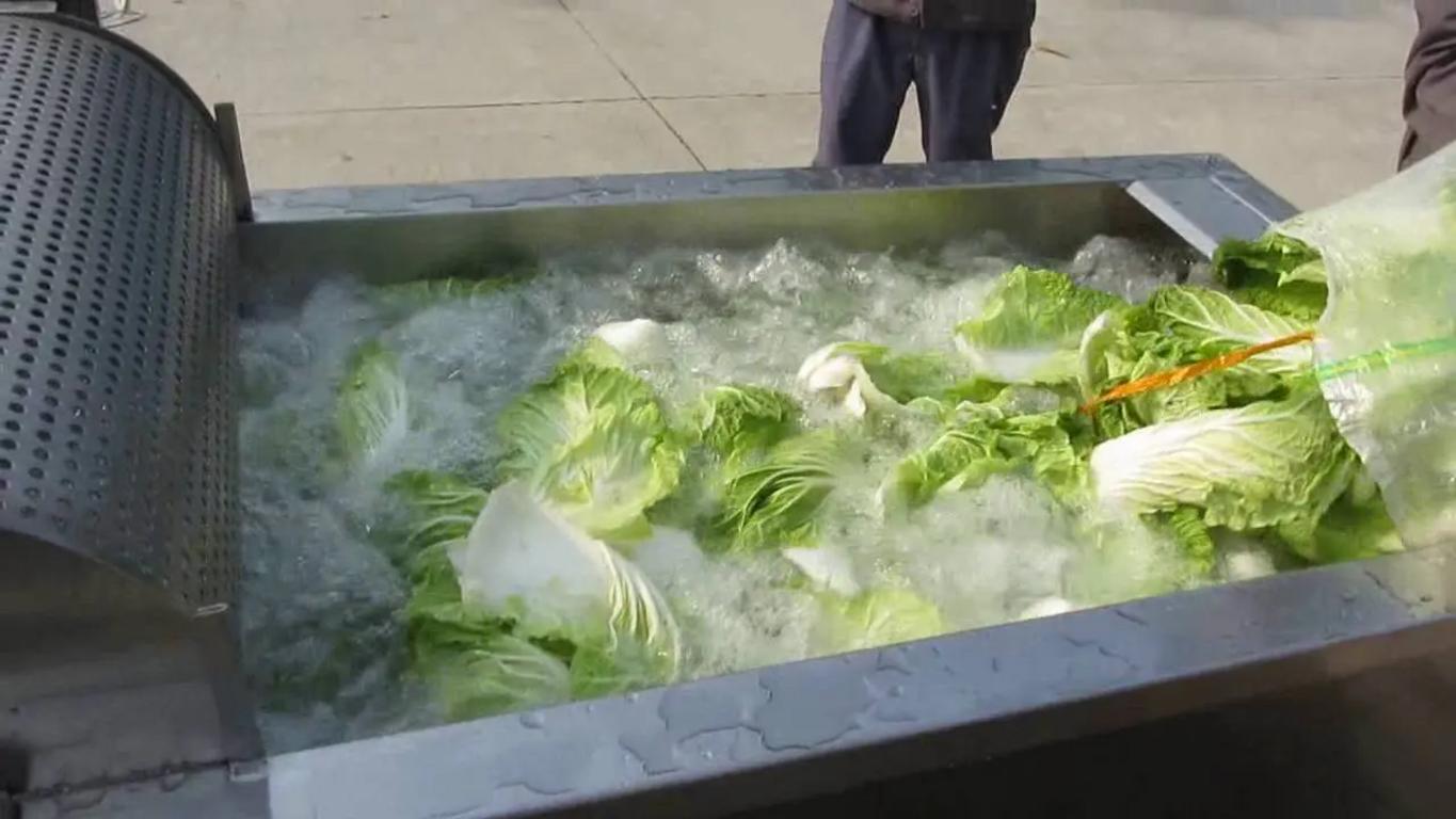 Mô hình một dây chuyền chế biến rau củ tích hợp đầy đủ các công đoạn.