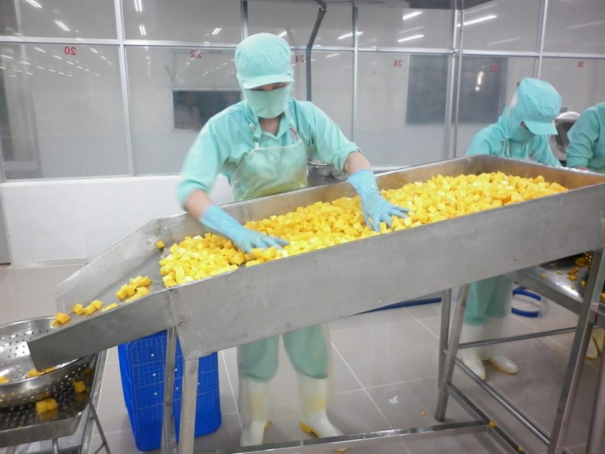 Sơ đồ chi tiết cấu tạo bên trong của một máy thái rau củ quả công nghiệp điển hình.