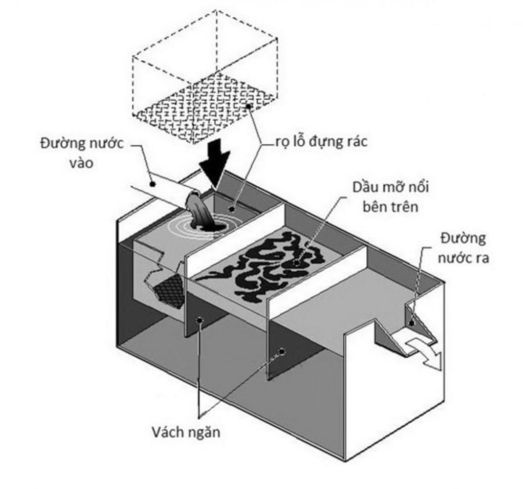 Chi tiết thân bể, giỏ lọc rác và vách ngăn.